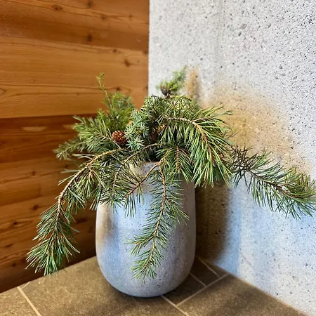 Naturhaus Loacker Apartmán *