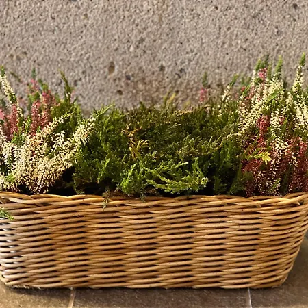 Apartment Naturhaus Loacker Lech am Arlberg