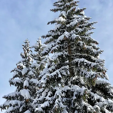 Naturhaus Loacker Apartmán Lech am Arlberg