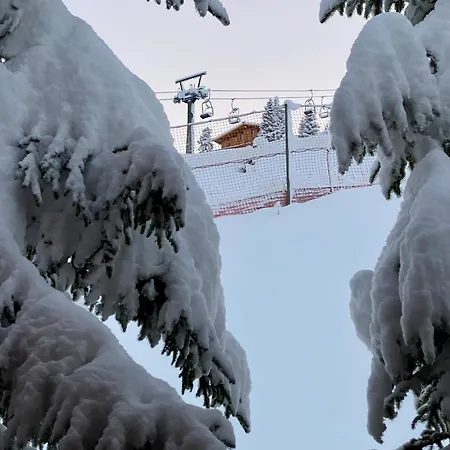 Apartmán Naturhaus Loacker Lech am Arlberg