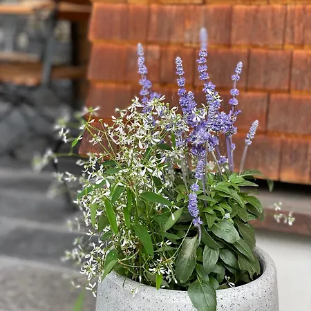 Apartment Naturhaus Loacker Lech am Arlberg