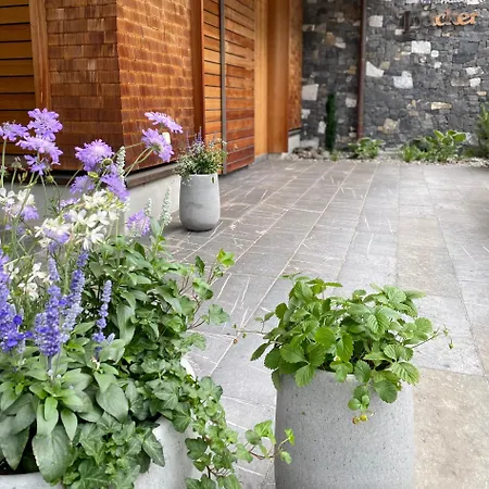 Naturhaus Loacker Lech am Arlberg