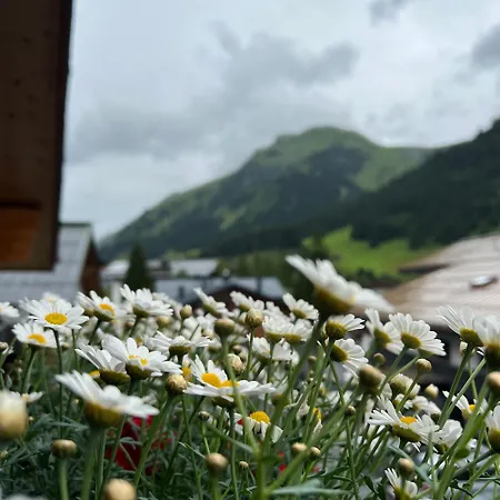 Naturhaus Loacker Lech am Arlberg